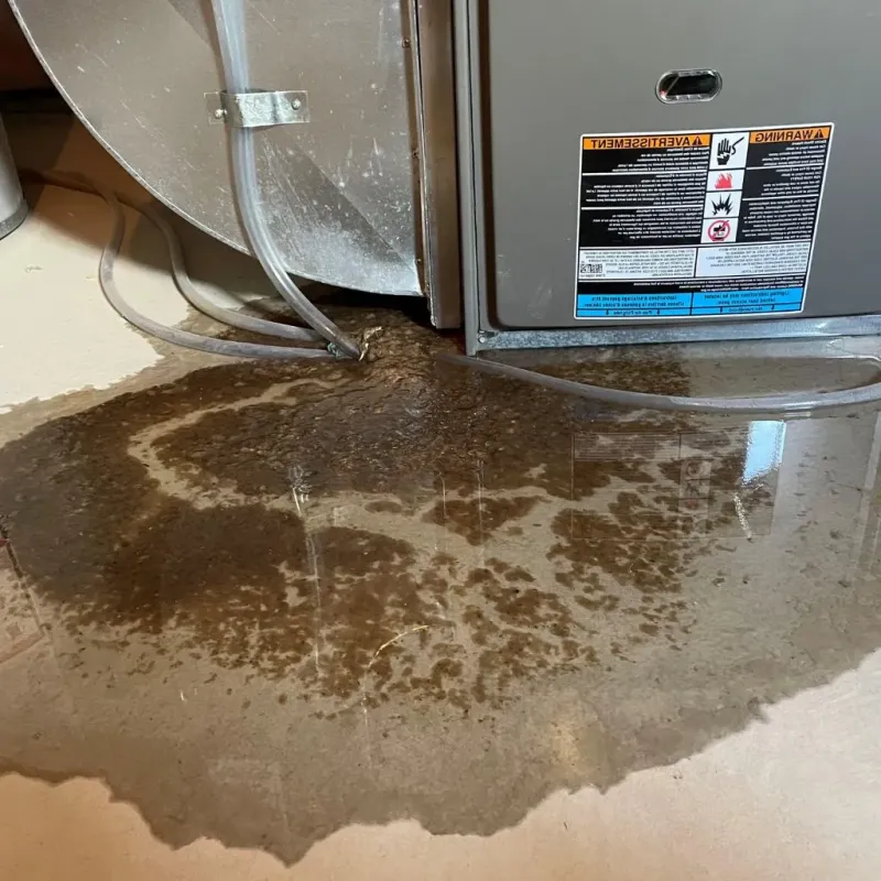 Pipe Burst and Leak Restoration in Antelope County, NE