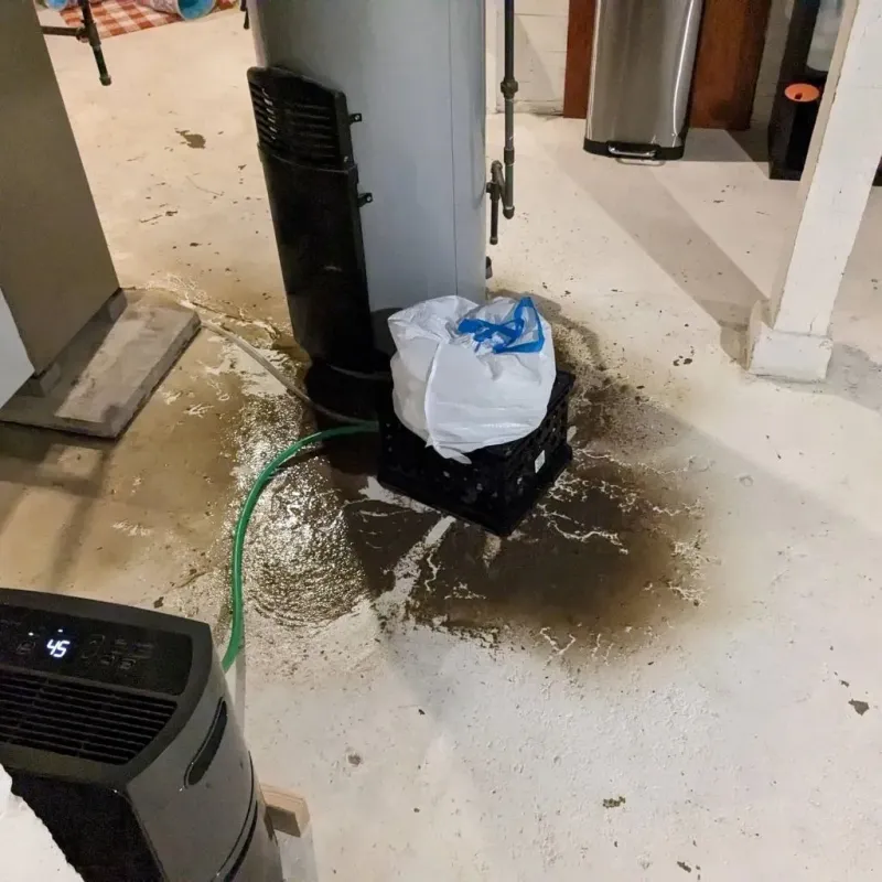 Sewage Backup Cleanup Service in Antelope County, NE